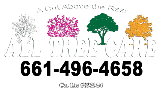 All Tree Care